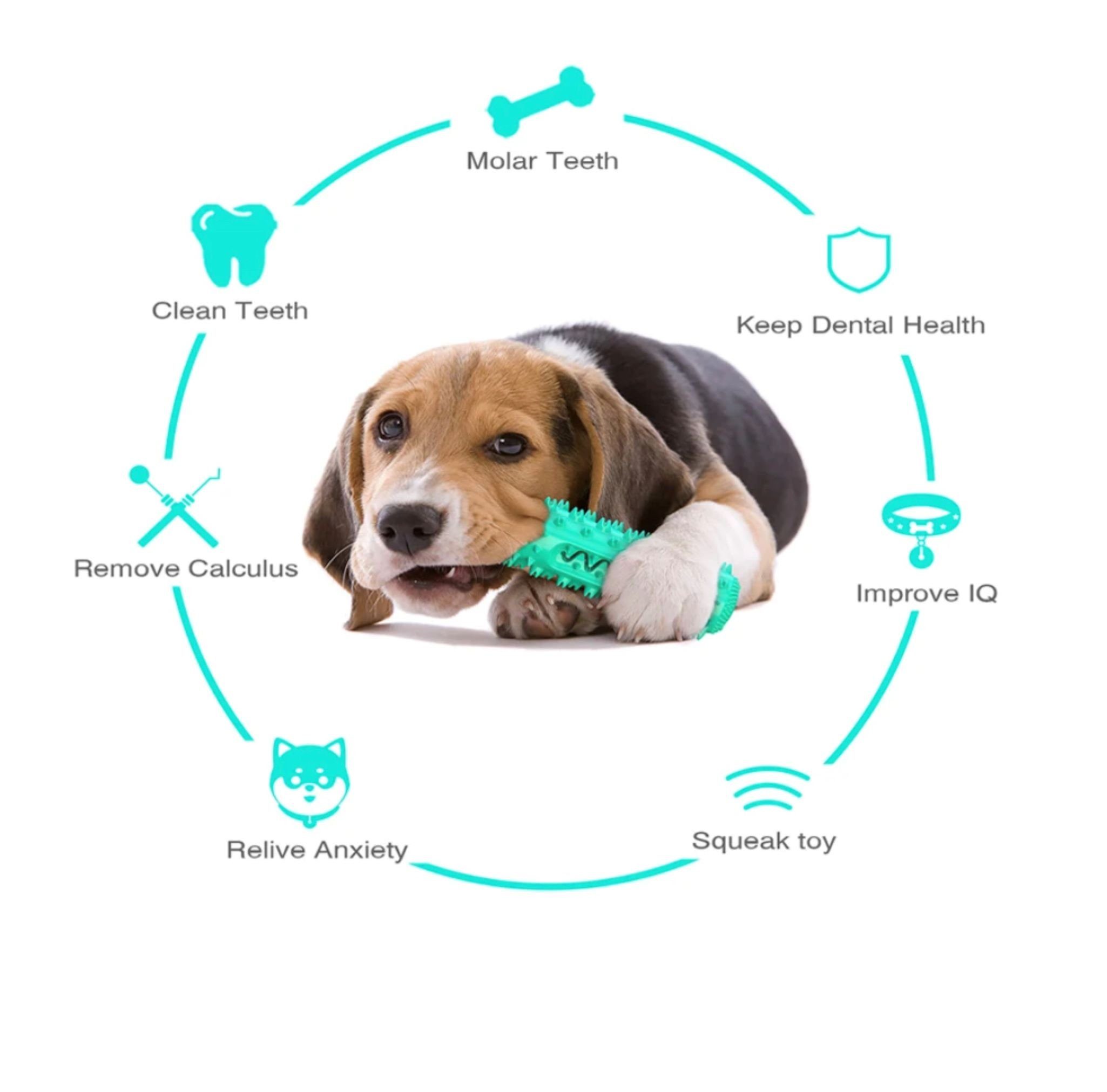 Bäll Kauspielzeug Hunde interaktiver Kauknochen, Zahnsteinentfernung, Noppen, befüllbar, Therapieunterstützung, Gewichtskontrolle, robust und langlebig