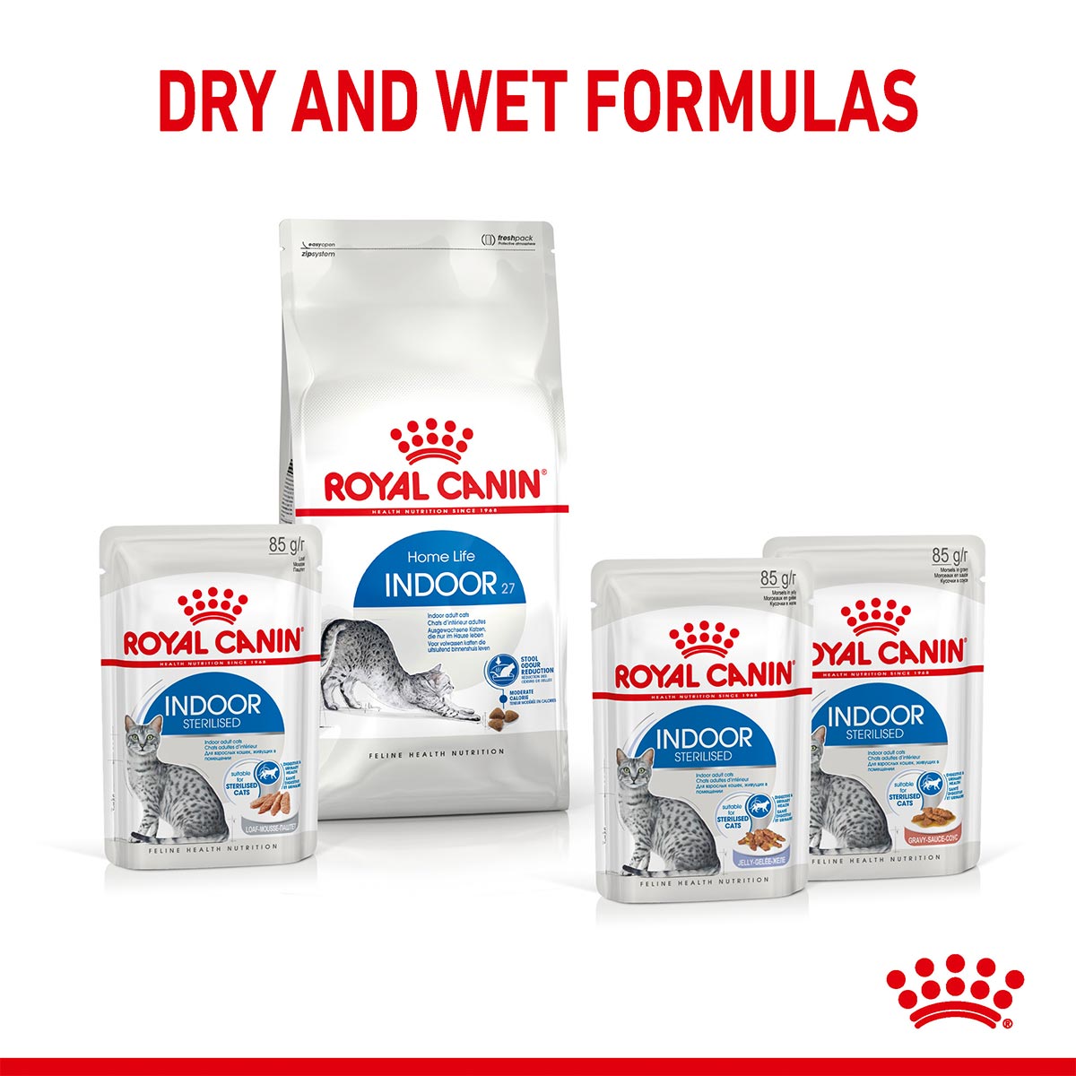 ROYAL CANIN INDOOR Sterilised in Soße Nassfutter für Wohnungskatzen