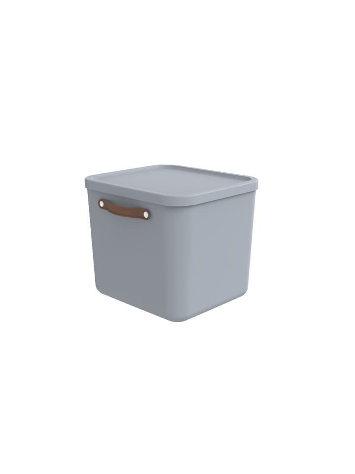Rotho Aufbewahrungsbox mit Deckel 40 l MALOJA in Misty blau günstig kaufen onesize