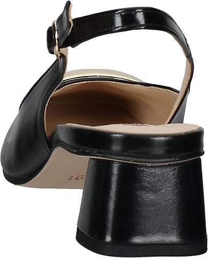 Högl Pumps