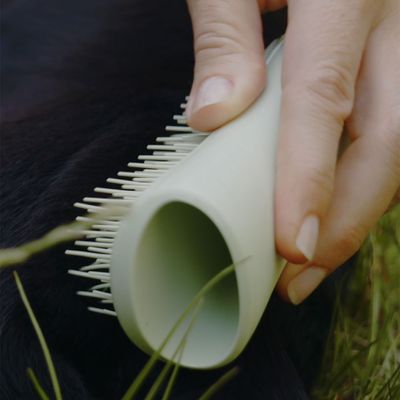 Pet Teezer Welpenbürste