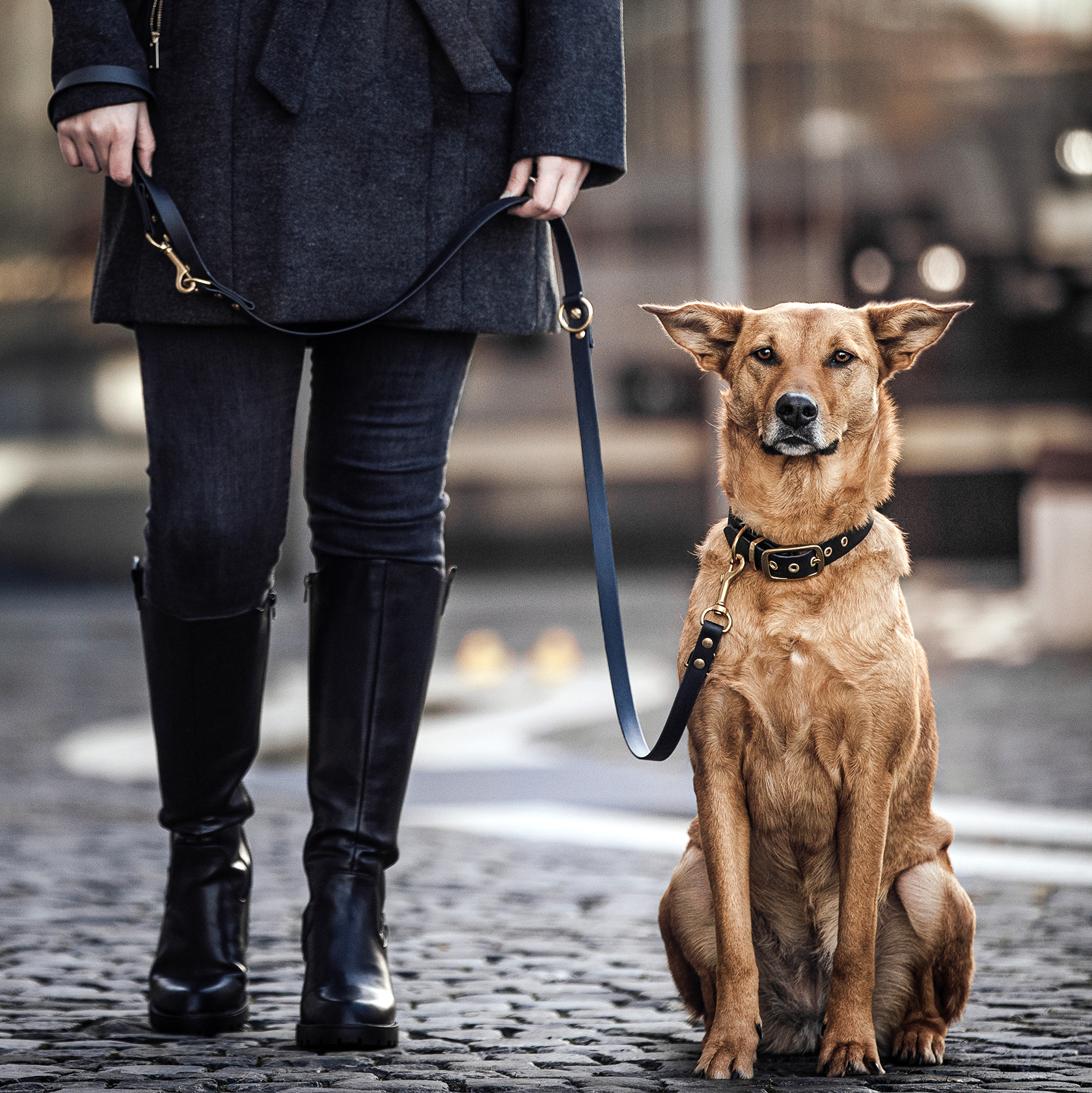 THE DOG IDEA Hundehalsbänder THE DOG IDEA Biothane Halsband Gold Khaki XL