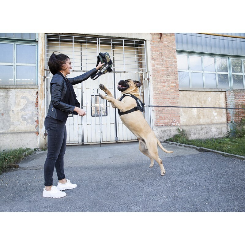 JULIUS-K9 Hundegeschirre JULIUS-K9 IDC Powergeschirr M