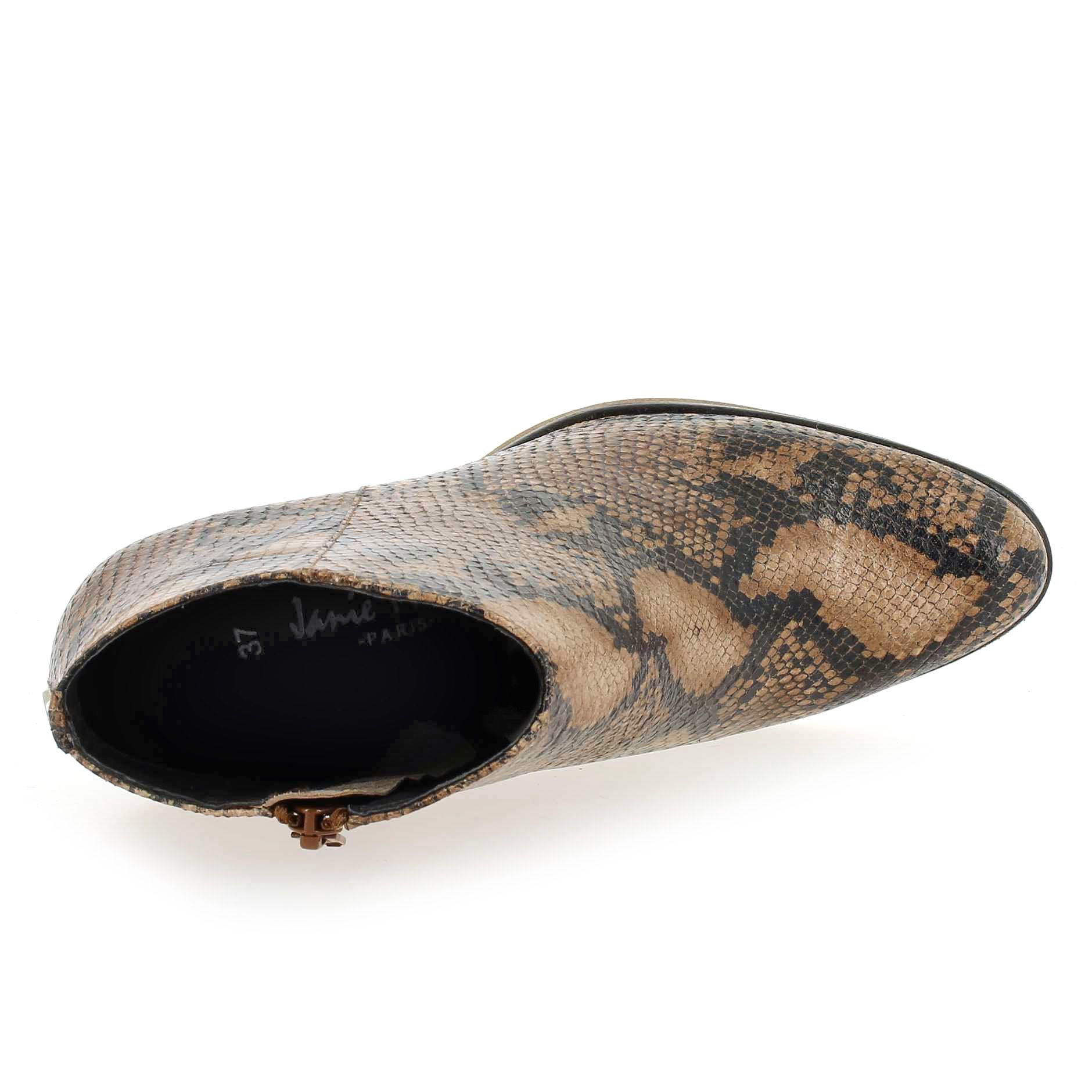Janie Philip  MAX - Camel Python