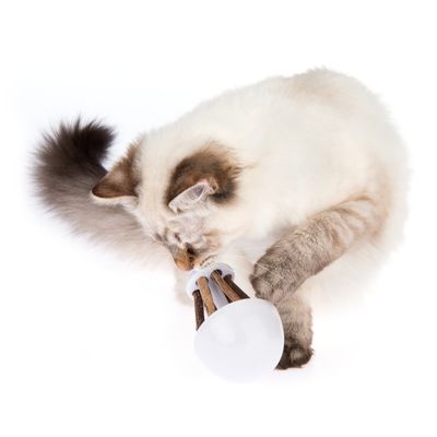 Katzenspielzeug Rocky