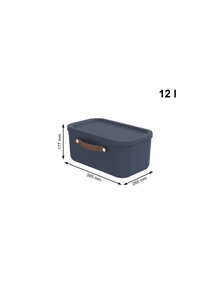 Rotho Aufbewahrungsbox 12 l MALOJA günstig kaufen onesize