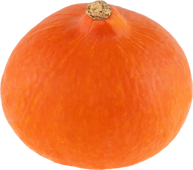 Bio Kürbis Hokkaido