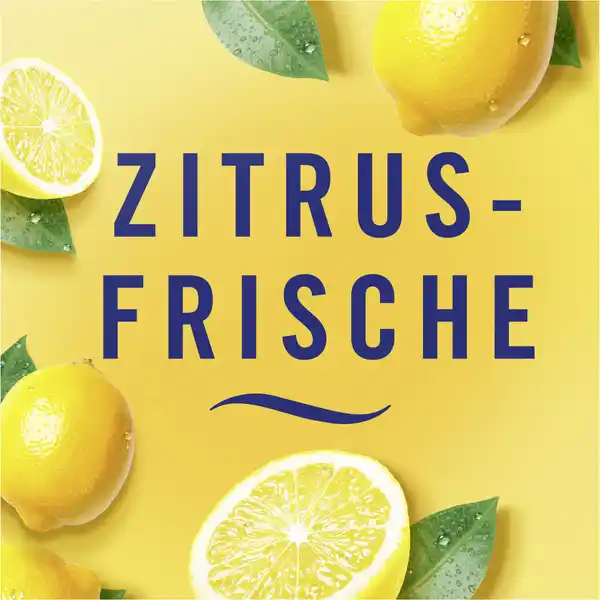 Bad Lufterfrischer Zitrusfrische