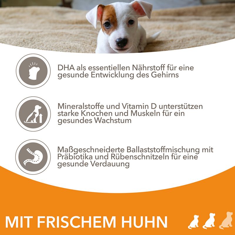 IAMS Advanced Nutrition Puppy Small / Medium Breed mit Huhn