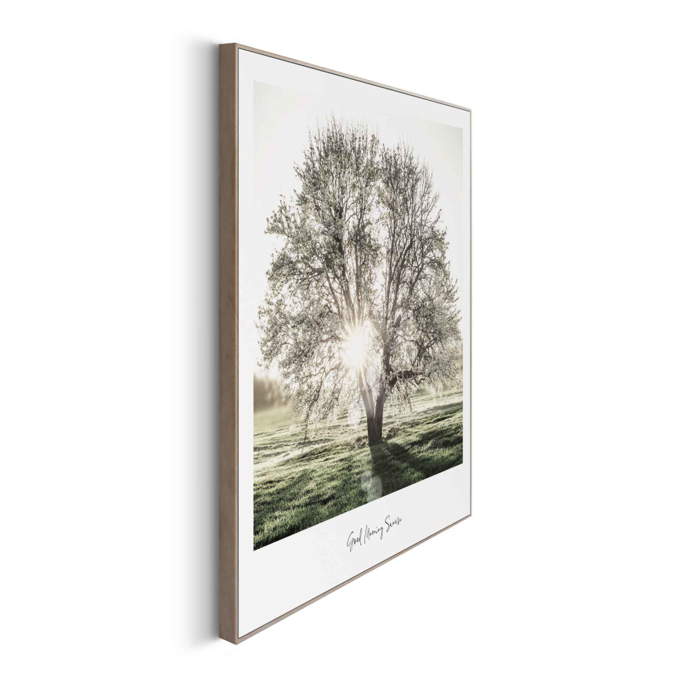 Rahmenbild Sunbeam Tree