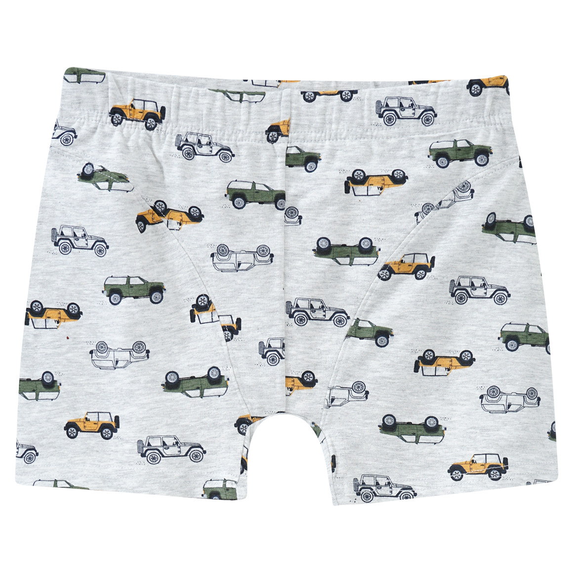 3 Jungen Boxer in verschiedenen Dessins