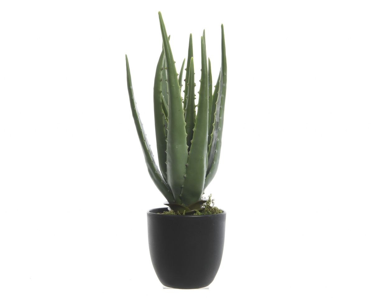 Aloe Vera Kunstpflanze 35 cm