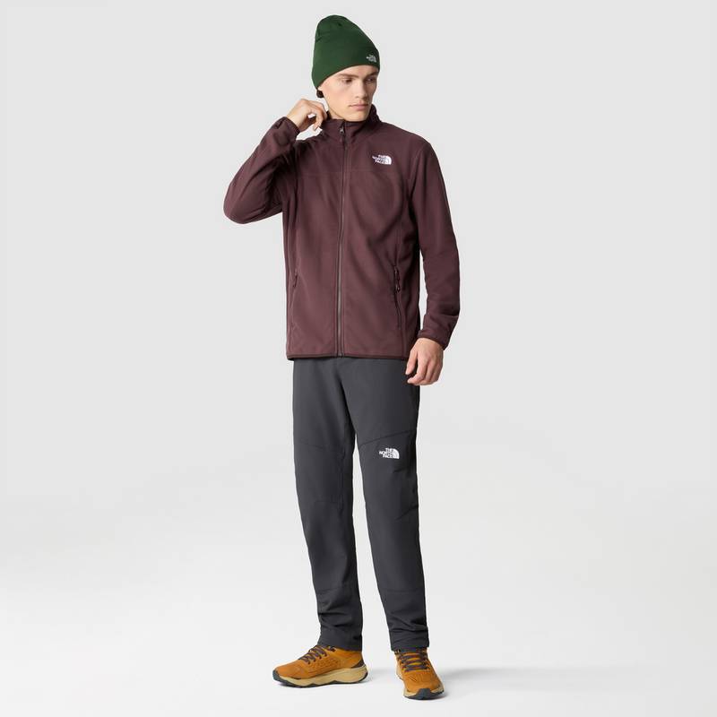 The North Face 100 GLACIER Fleecejacke Herren
