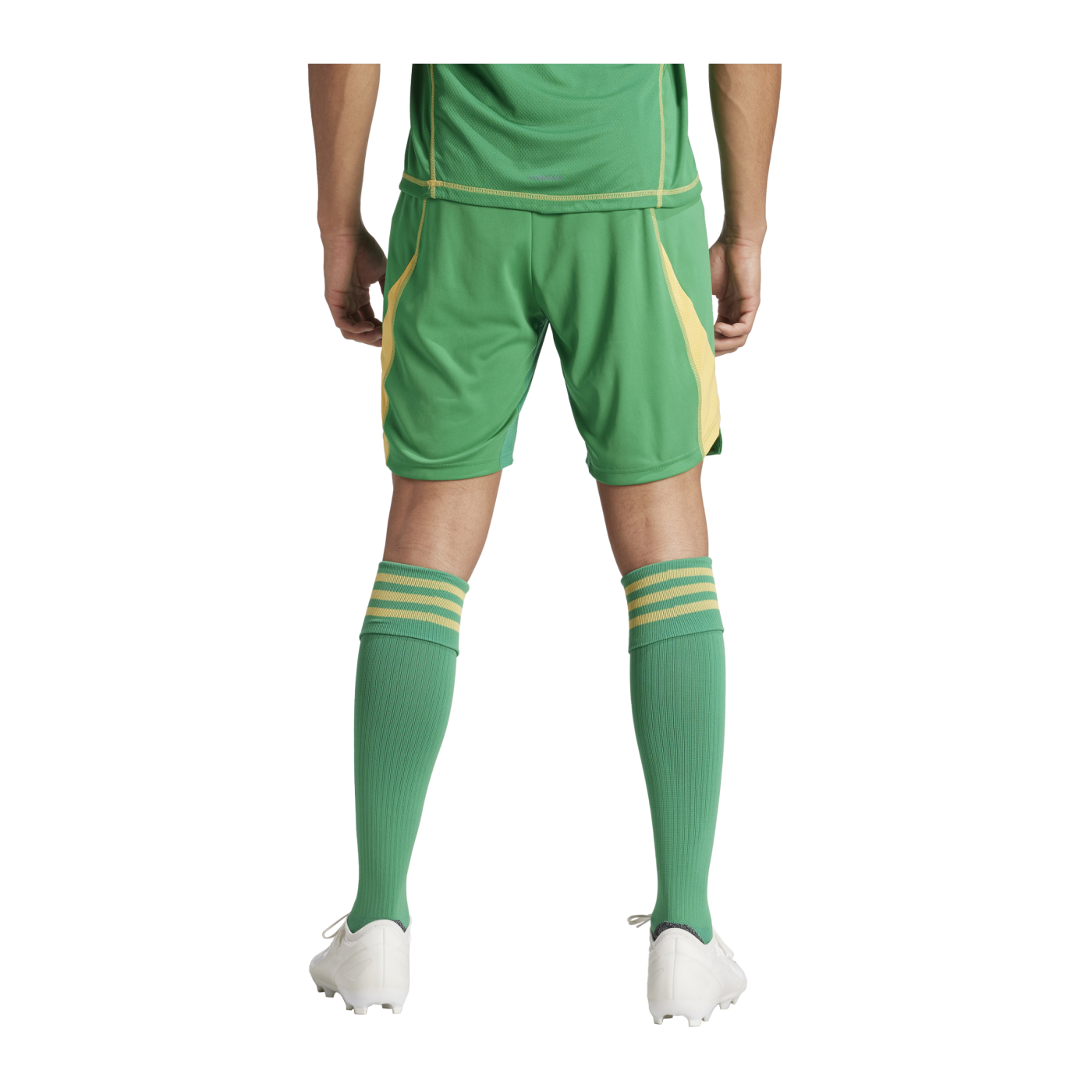 adidas Tiro 24 Pro Torwartshort Grün