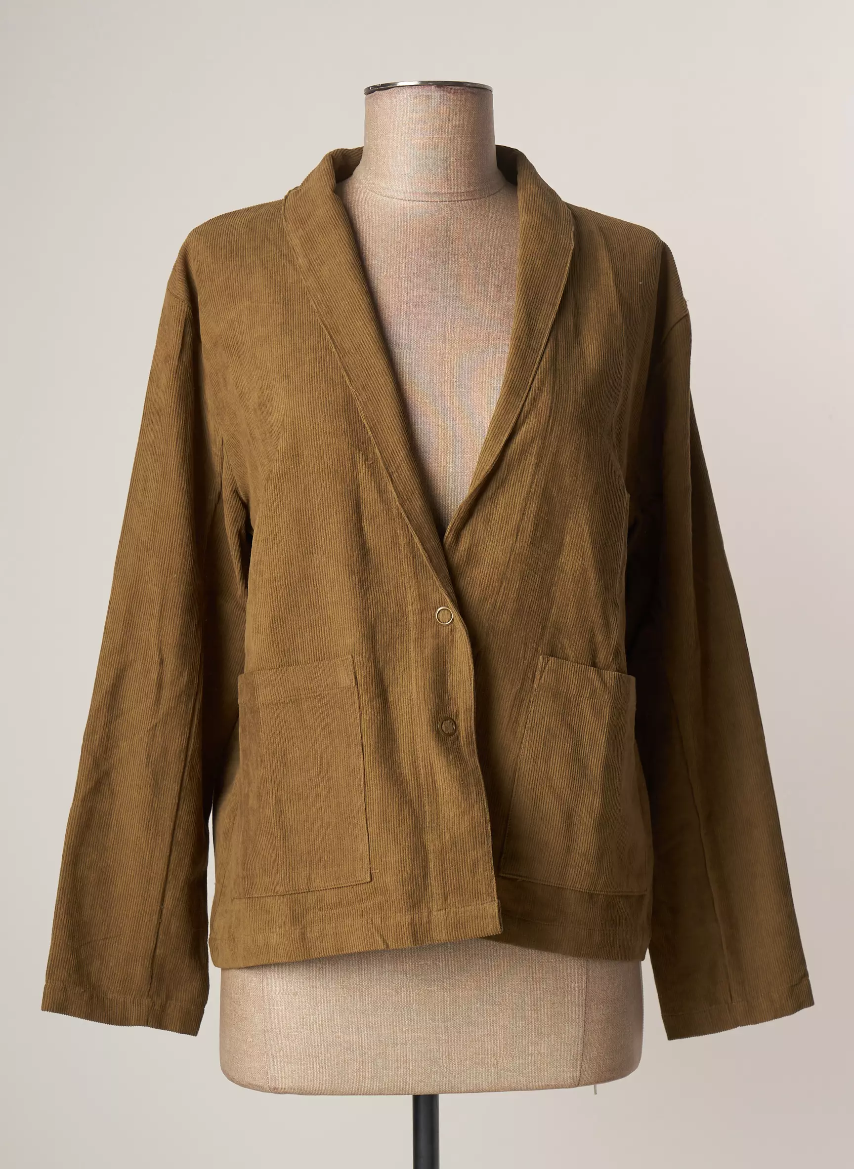 Serendipity Blazers Femme couleur marron