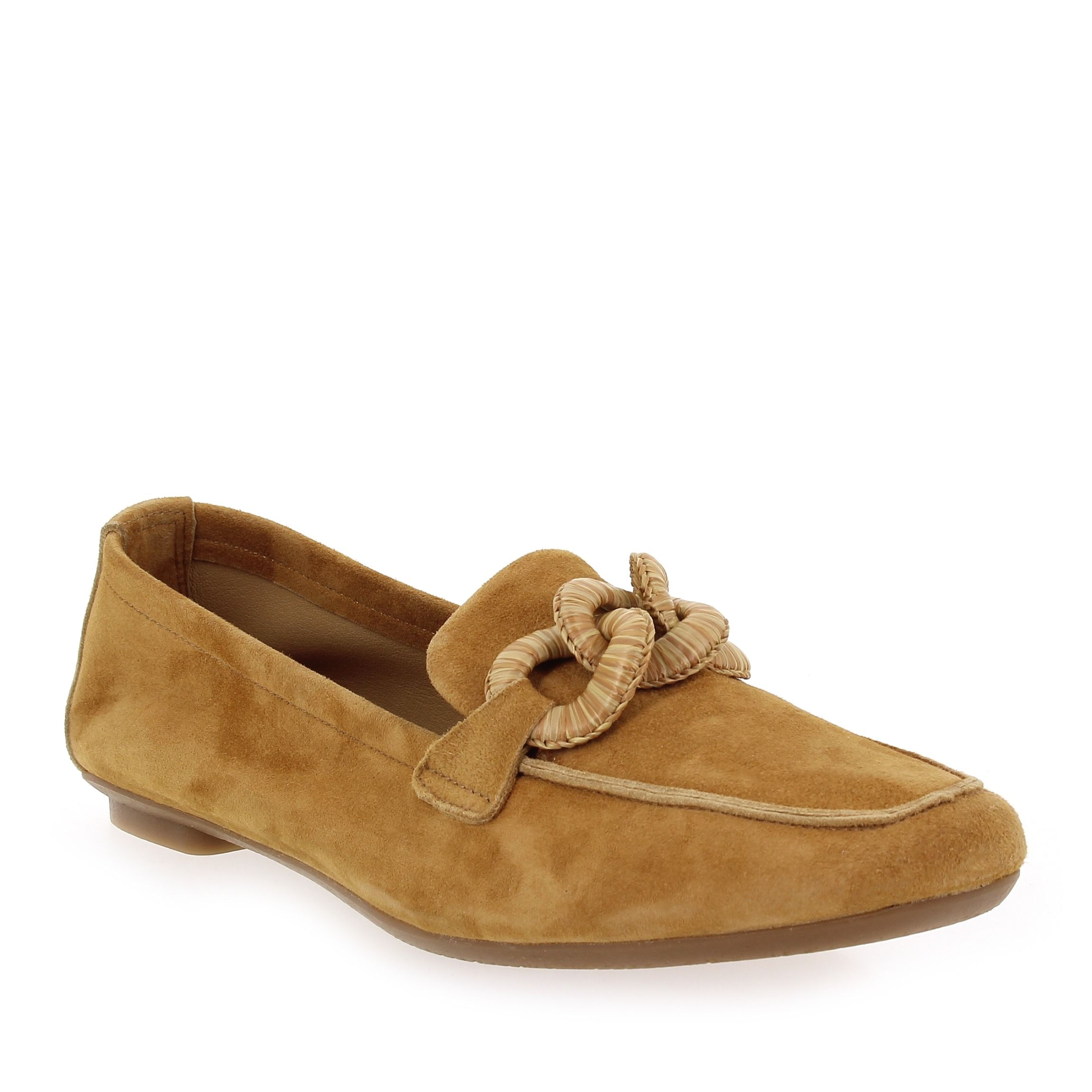 Reqins  HAMAYA - Camel
