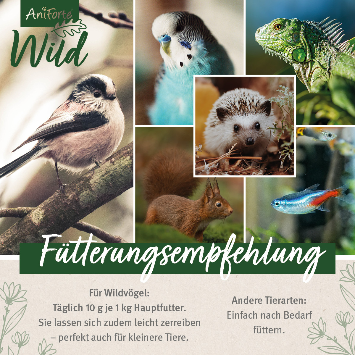 Aniforte Futter & Heu Aniforte Wild Soldatenfliegenlarven 800g