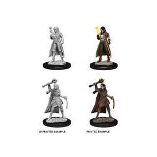 Female Elf Cleric: D&D Nolzurs Marvelous Miniatures