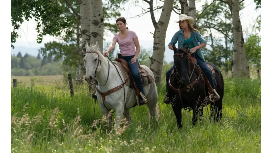 Heartland - Paradies für Pferde - Staffel 12 (Neuauflage)  [4 DVDs]