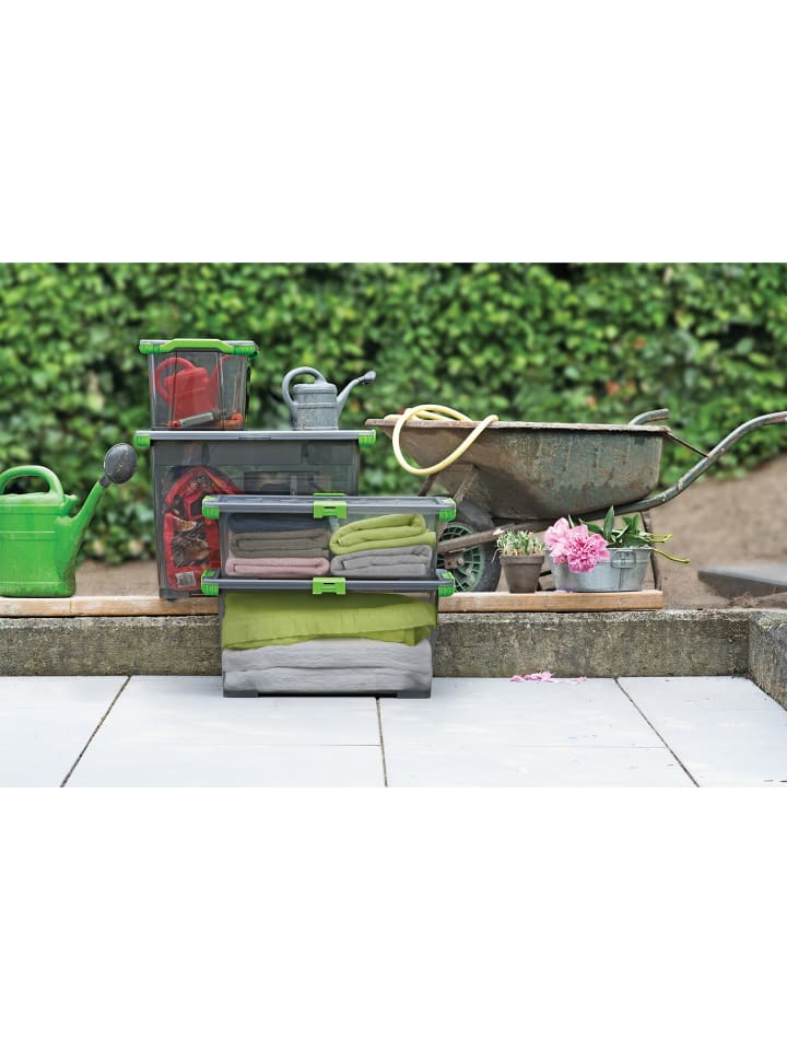 Rotho Box 15 l EVO TOTAL PROTECTION günstig kaufen onesize