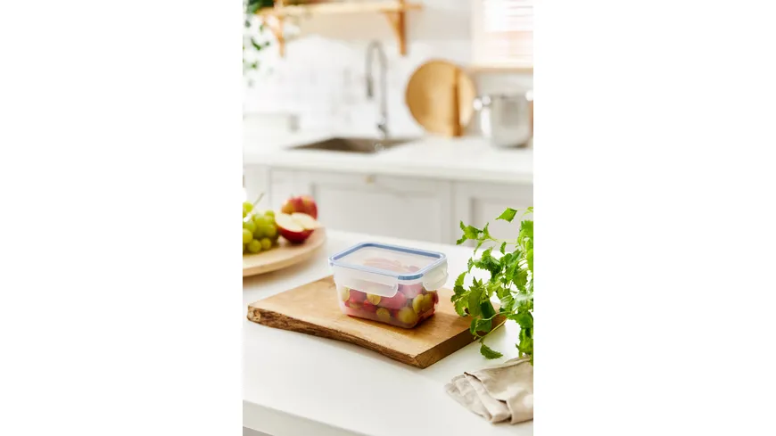 rotho Kühlschrankdose 0.75l CLIC & LOCK horizon blue
