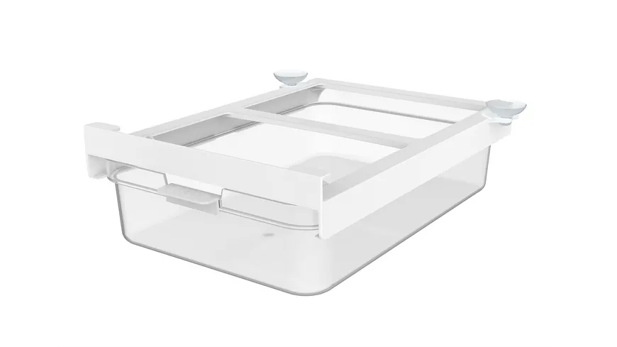 rotho Kühlschrankorganizer Schublade 2,6l