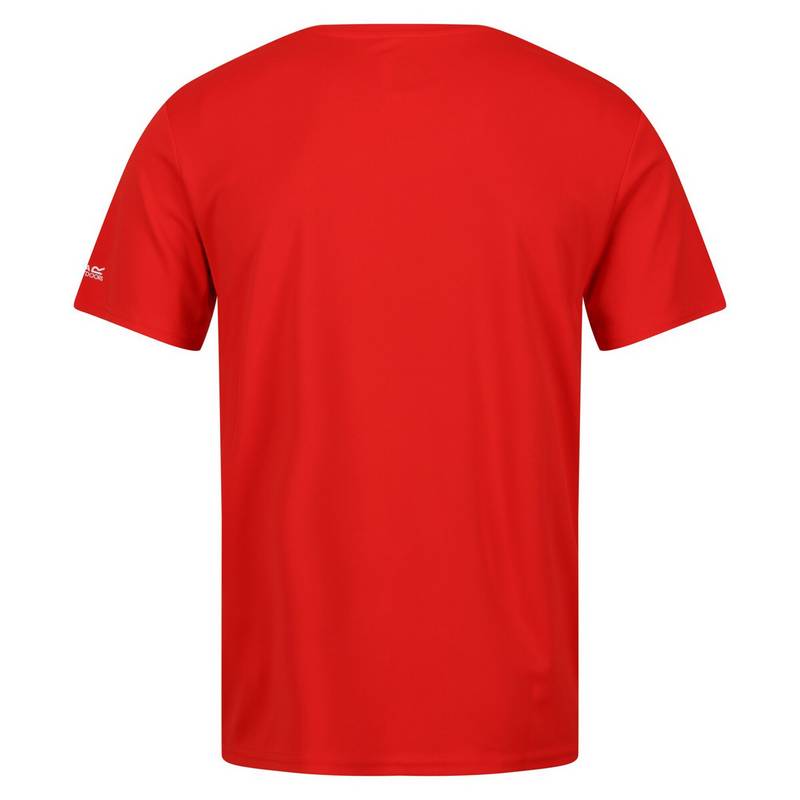 Regatta Fingal VII Funktionsshirt Herren