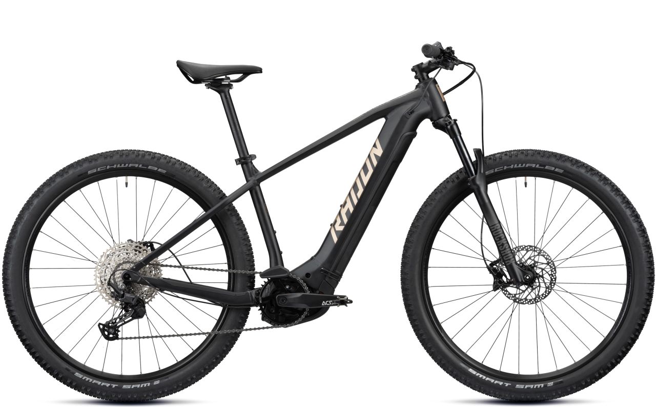 Radon Jealous Hybrid 8.0 625 kaufen | Bike-Discount