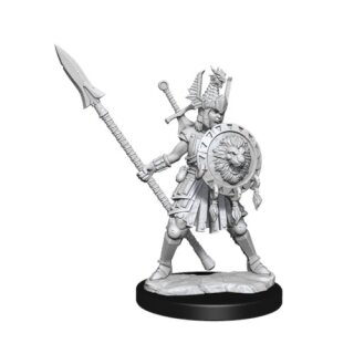 D&D Frameworks: Human Fighter Female