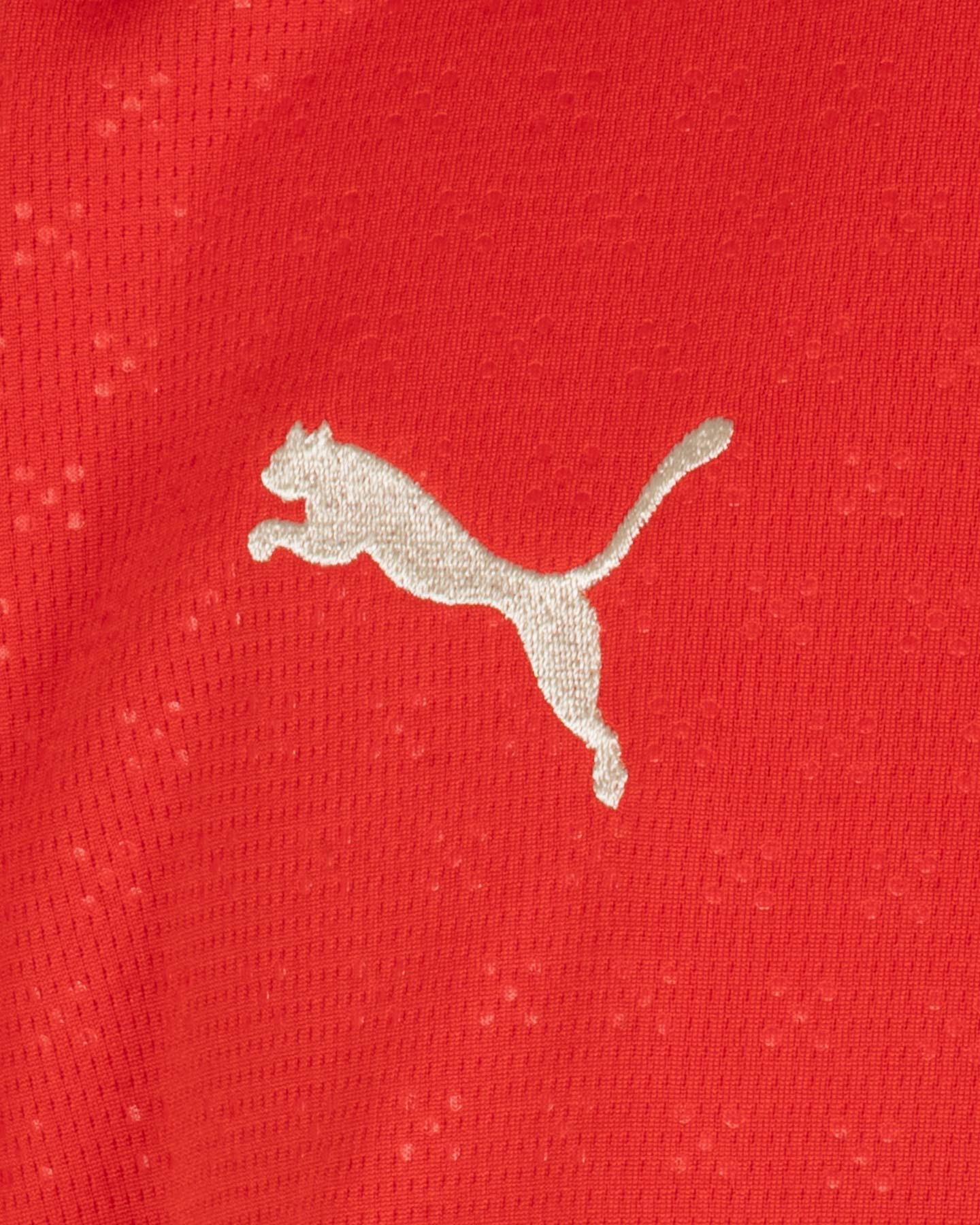 Oficjalna koszulka piłkarska Puma Portugalia Jr. 779193-01
