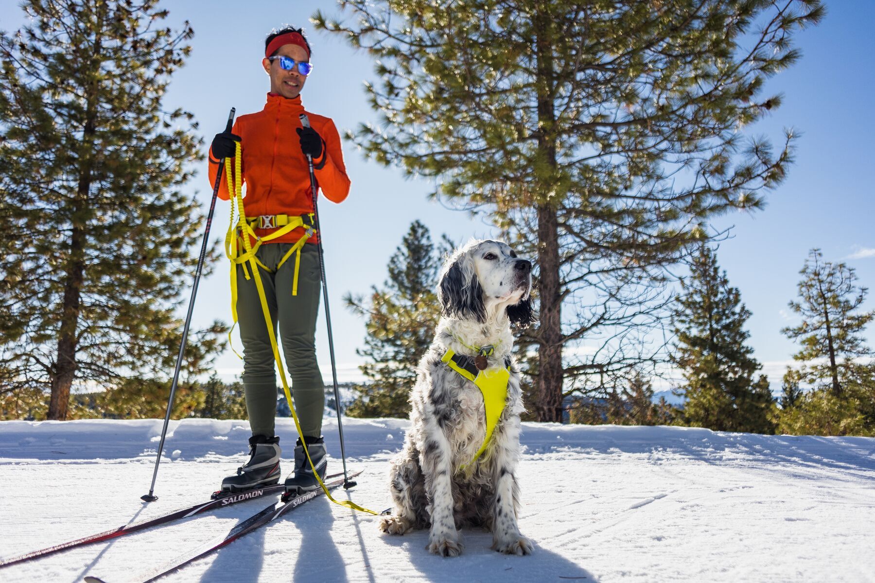 Ruffwear Hundegeschirre Ruffwear Hundejöringsystem Omnijore™ M