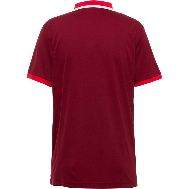 ASICS Court Tennis Polo Herren