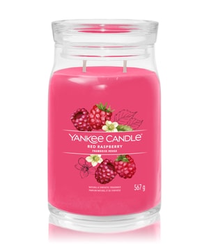 Yankee Candle Red Raspberry Duftkerze-368 g