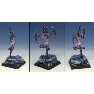 Mantis Box of 10