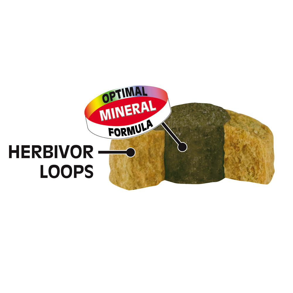 Sera Ergänzungsfutter Sera reptil Professional Herbivor 1l