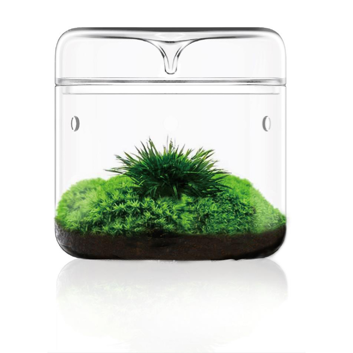 Bioloark Luji Glass Cup MY-120 günstig kaufen