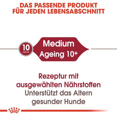 Royal Canin Medium Ageing 10+ in Soße