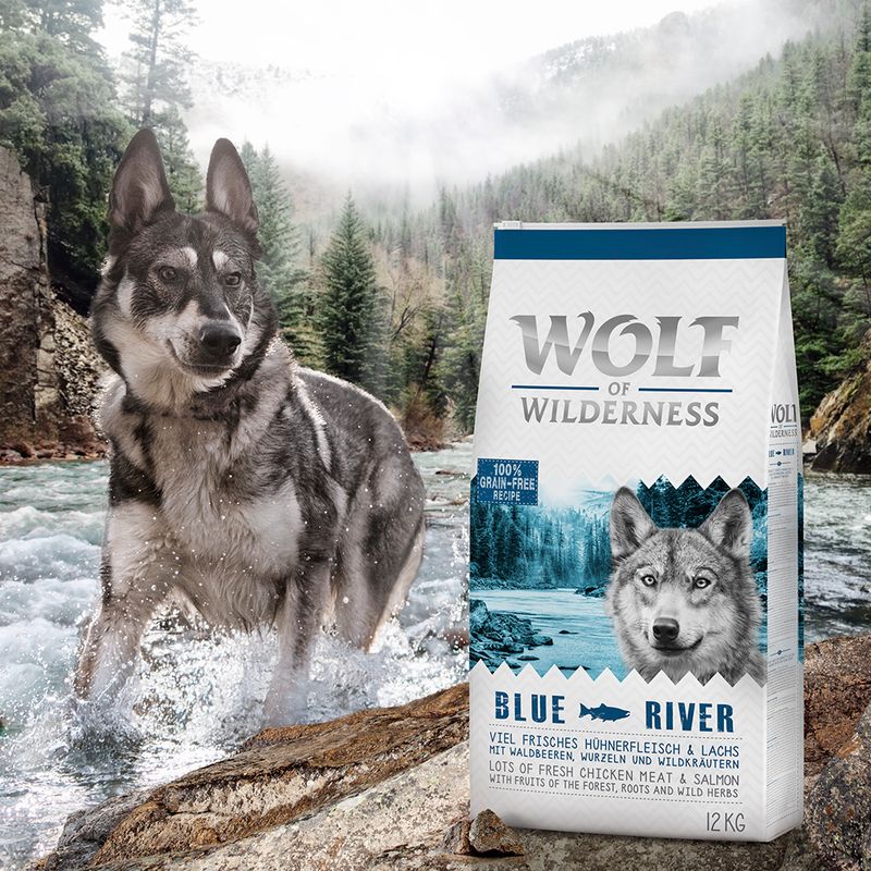 Probierpaket Wolf of Wilderness Trockenfutter