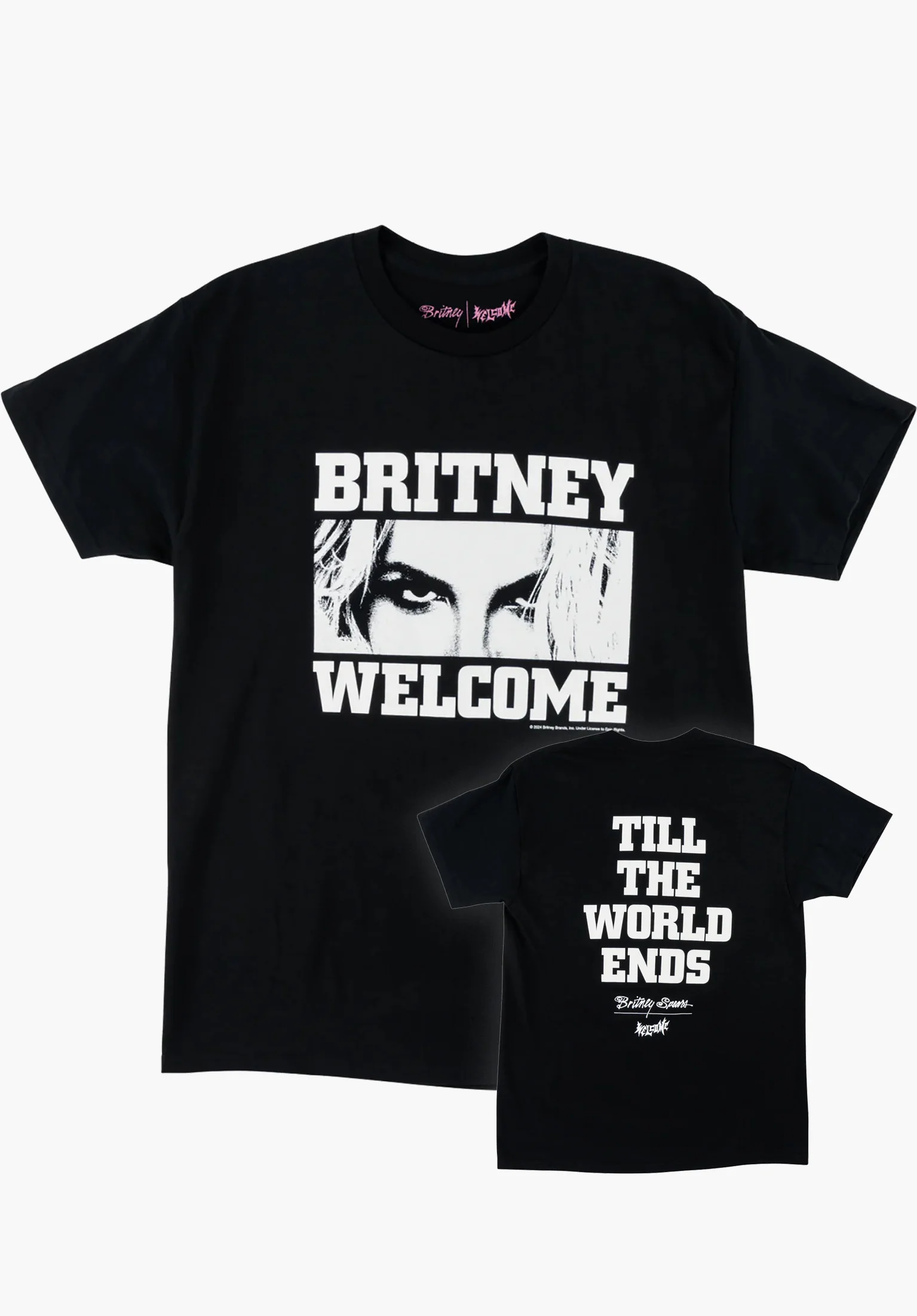 x Britney Spears Till The World Ends