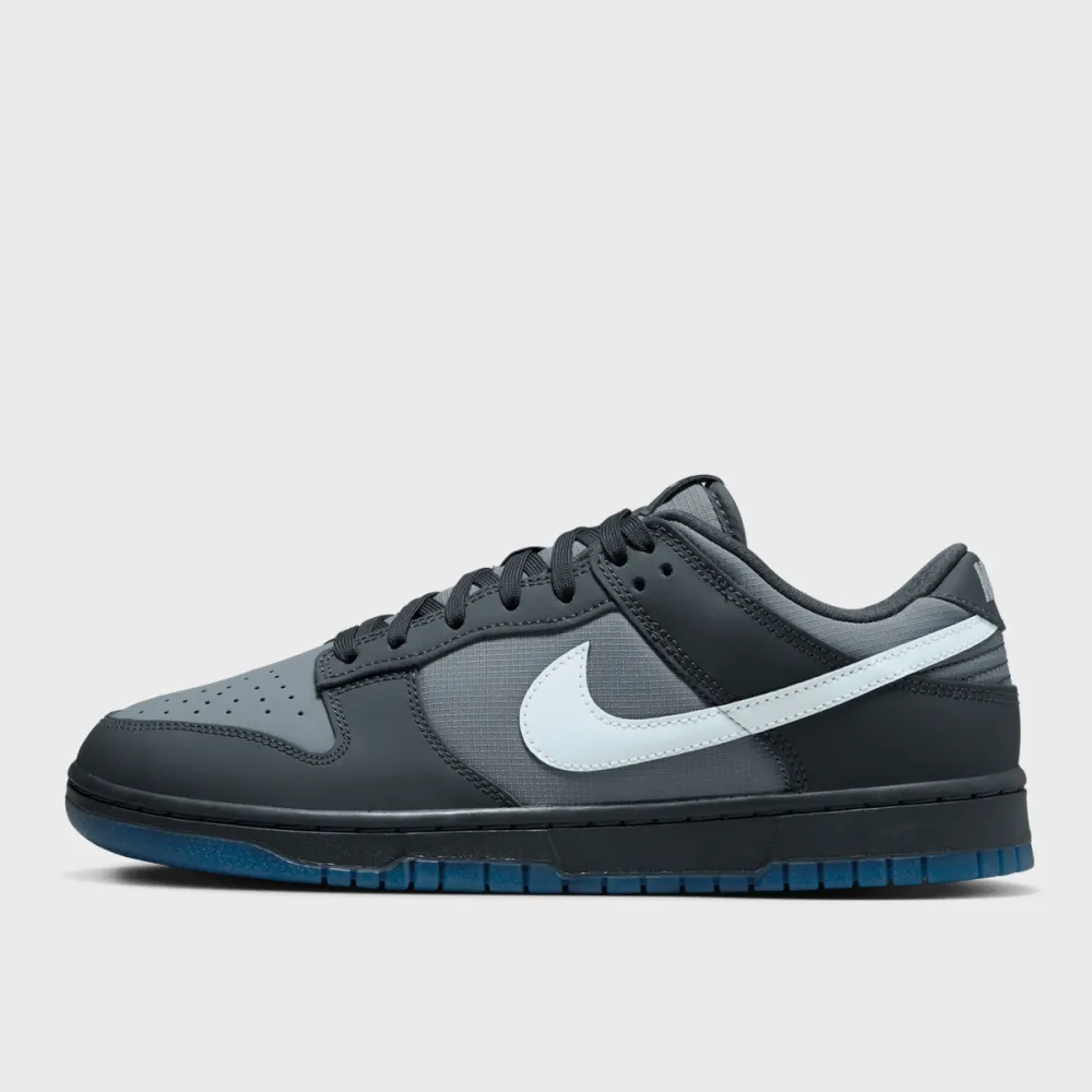 Nike Dunk Low FV0384-001 / grau