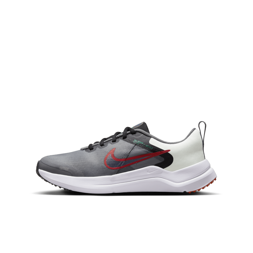 Nike Downshifter 12 DM4194-007 / grau