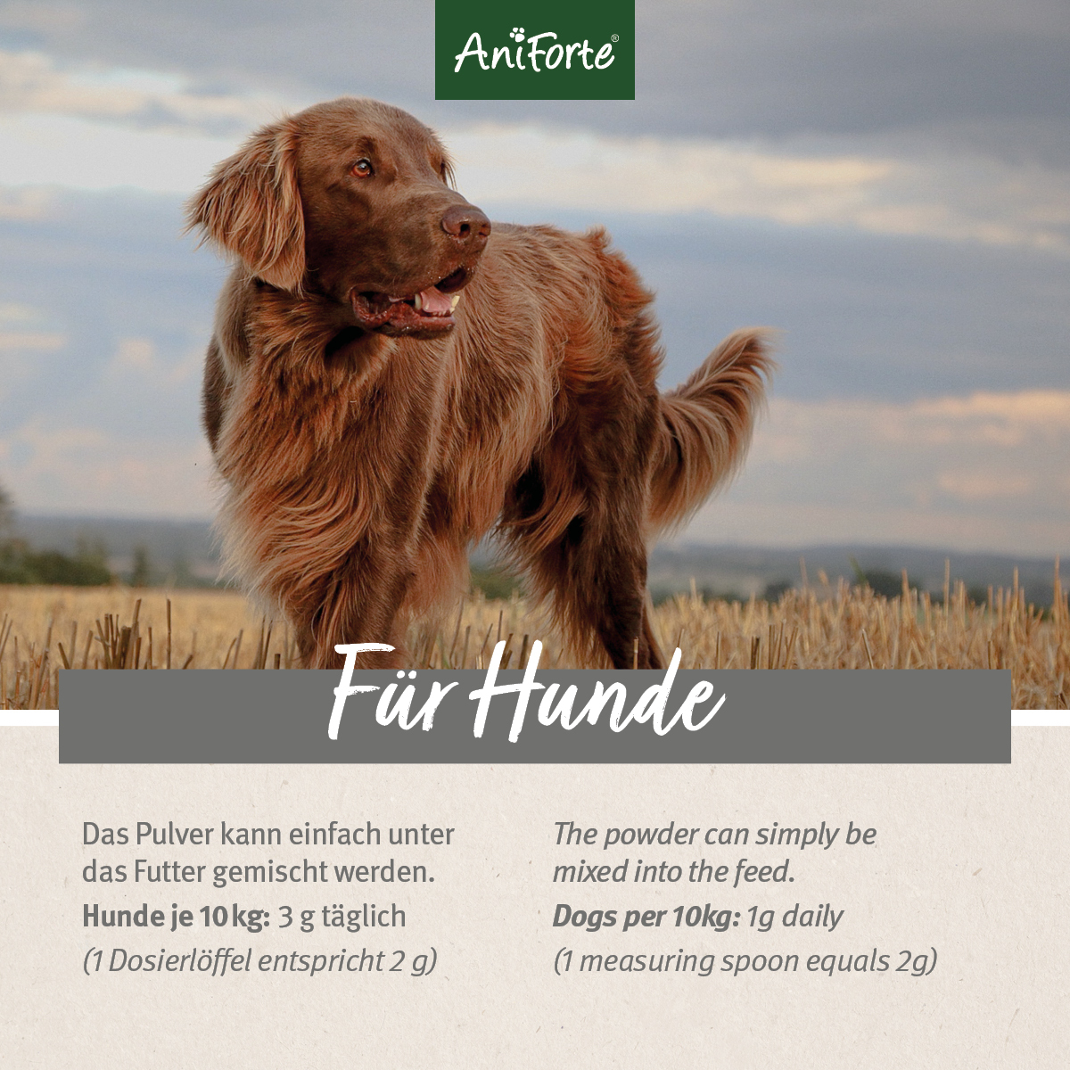Aniforte Ergänzungsfutter & Aufzucht Aniforte 4in1 Complete Dog