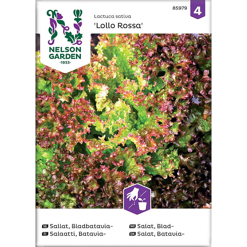 Nelson garden Frø Salat Blad-, Lollo Rossa