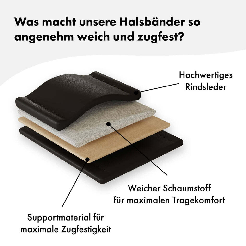William Walker Hundehalsbänder William Walker Hundehalsband Plain Noir XL