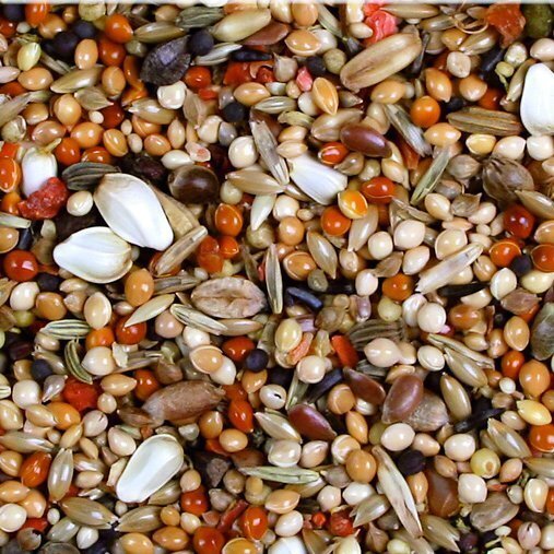JR Farm Hauptfutter JR Farm Premium Agapornide 1kg