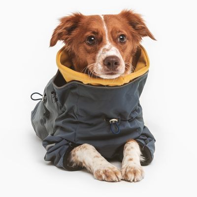 Nomad Tales Spirit Hundeoverall Atlantic