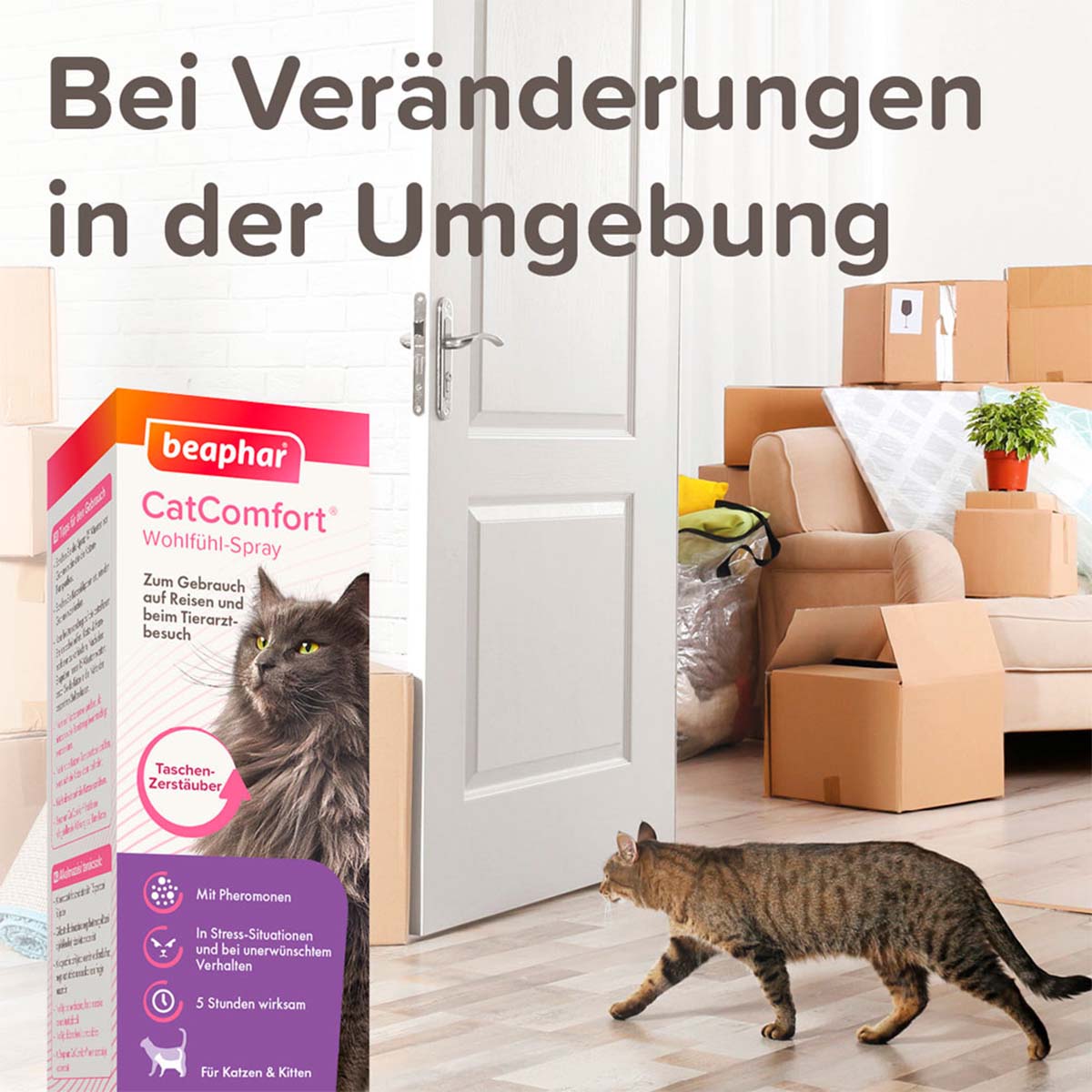beaphar CatComfort Wohlfühl-Spray günstig kaufen