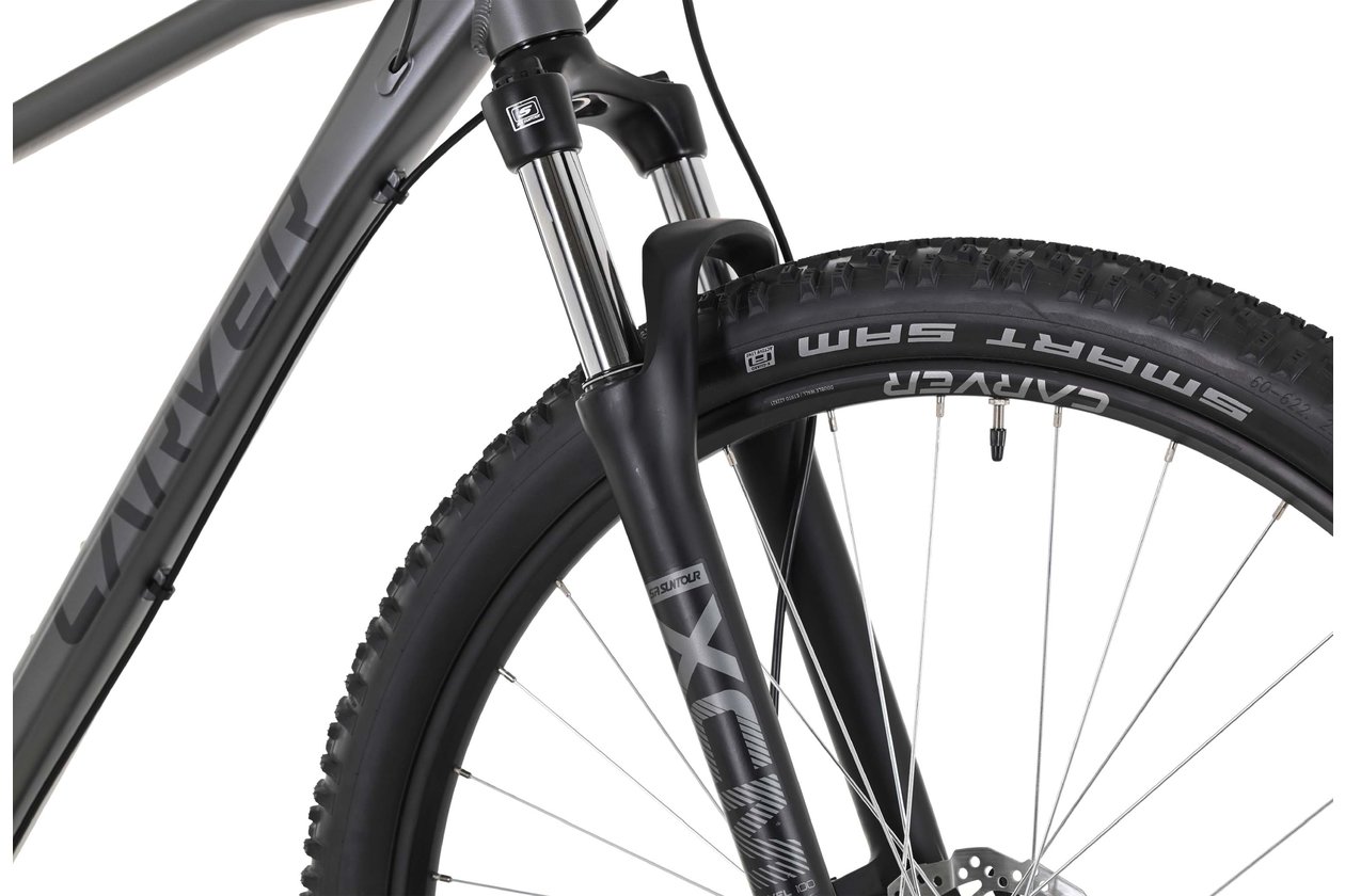Carver Strict 120 - 2023 - 29 Zoll - Diamant