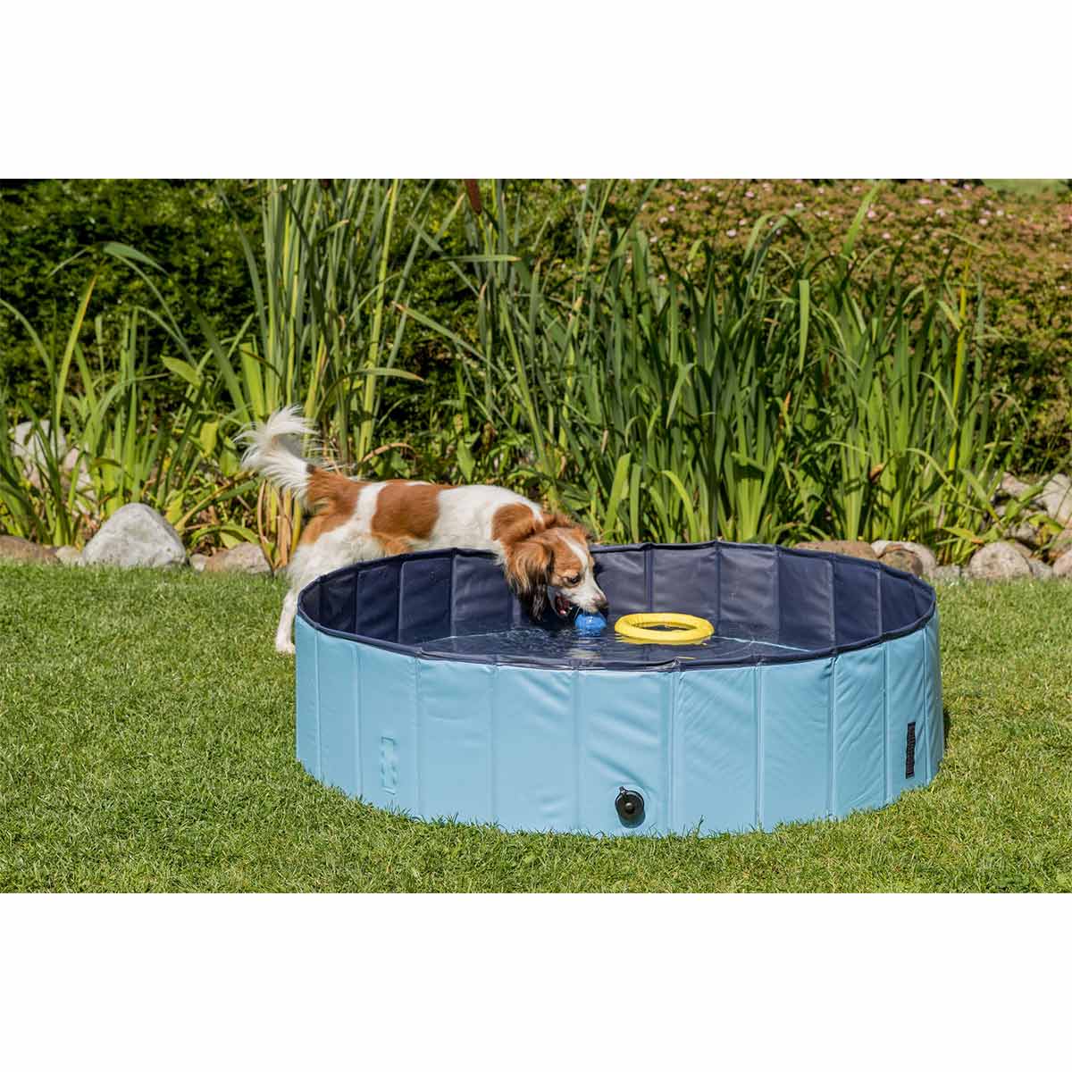 Trixie Hundepool hellblau günstig kaufen bei ZooRoyal