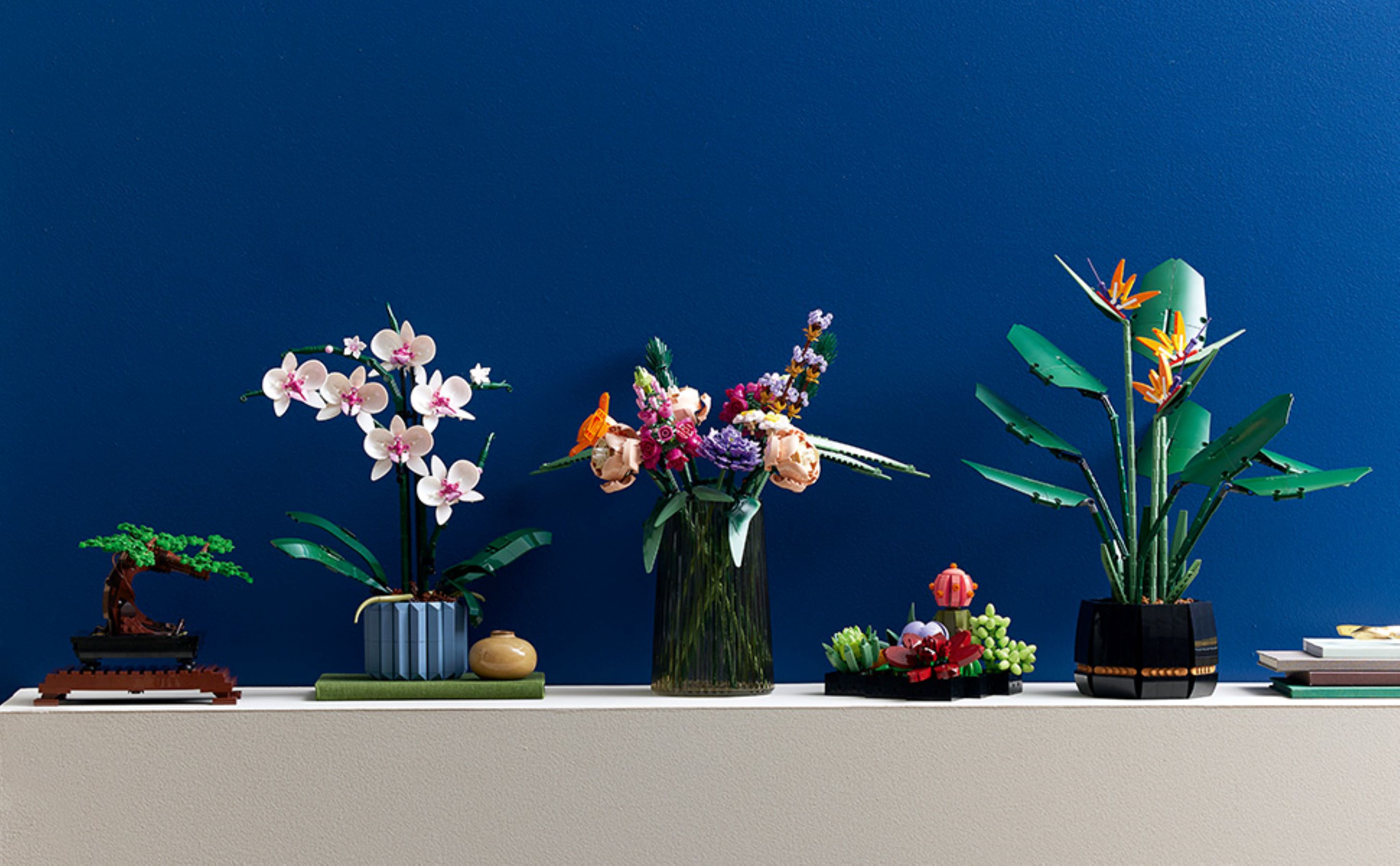 Orchidee 10311